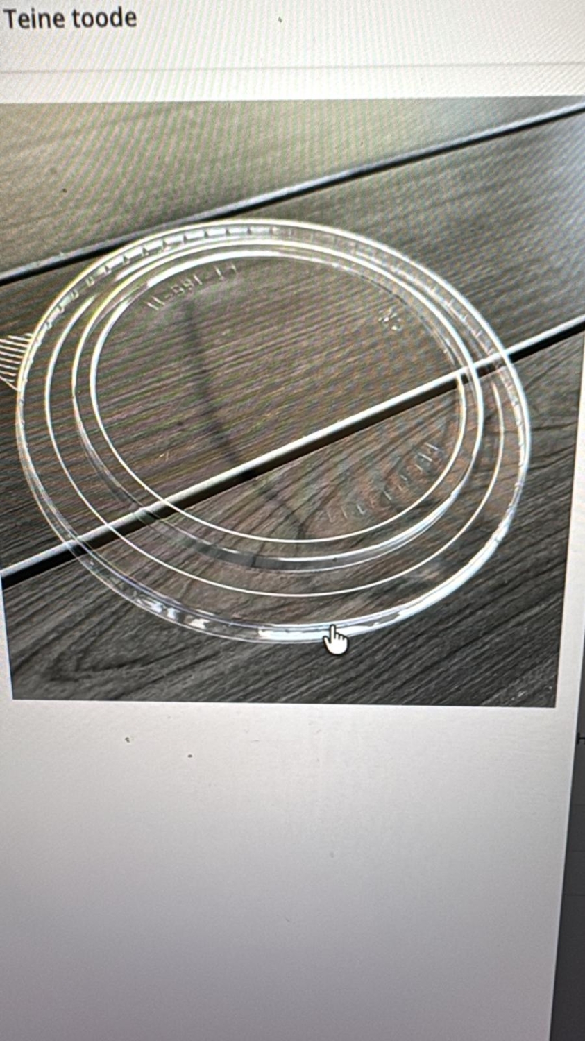 Прозрачная  крышка для картонного контейнера 750мл