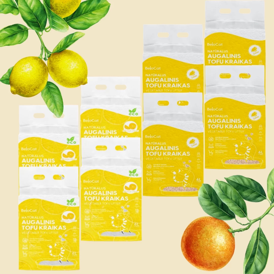 BeloCat TOFU “Citrus Set”